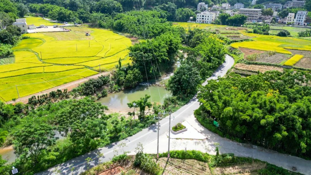 广东信宜市森林经营规划（2019-2050）