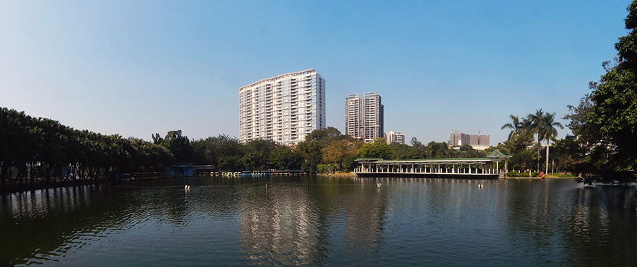 广州流花湖公园鹭岛堤岸改造