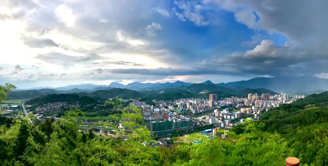 广东清远市林业产业发展规划(2021-2025 年)