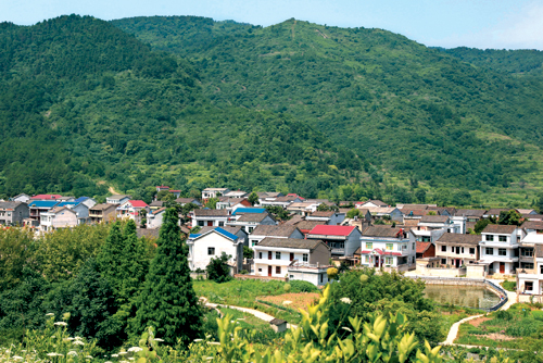 鄂州市国有白雉山林场2019年重大林业有害生物防治
